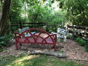 Benches in garden